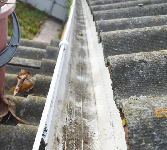 Gutters Maintenance O'Fallon Illinois